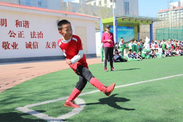 乐玩lewin专业内容展示